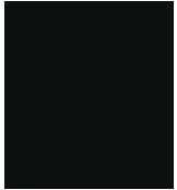 RAL 9005 - SCHWARZ